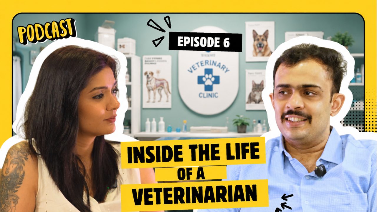 Inside the Life of a Veterinarian